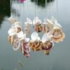 Colorful Shell Wind Chime Decoration Creative Door Window Decor Wind Chime Mediterranean Style Wrapped Wind Chime Hanging Decor