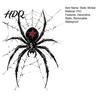 Glass Door Static Clings Halloween Spider Window Clings PVC Waterproof Web Decals Black Wall Decor Removable Spooky Stickers for Indoor Outdoor