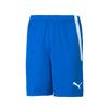 Puma Teamliga Shorts (70492402) Shorts