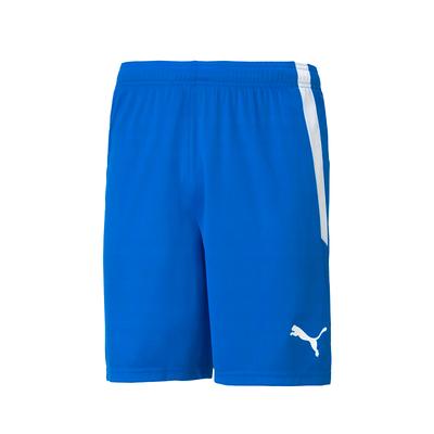 Puma Teamliga Shorts (70492402) Shorts
