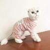 Pet Clothing In Autumn And Winter, Cat Pajamas, Dog Clothing, Teddy Fighting Small Dogs, Winter Puppies, Pet Clothing