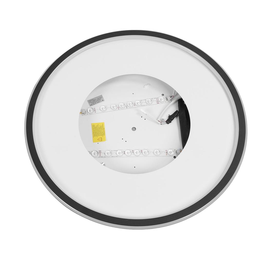 LED Ceiling Light Iron PC Stepless Dimmable Round Flush Mount Ceiling Light Fixture with APP Remote Control for Bedroom Hallway 110 to 265V