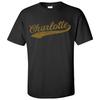 Charlotte City Baseball Script - Sports Team Hometown Baseball T-Shirt - Black