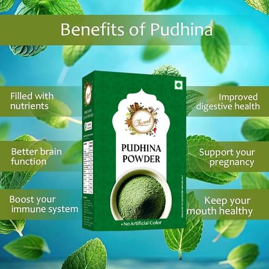 Chounk Pure And Natural Mint Powder | Pudina Powder with No Added Flavors & No Preservatives  - 200 Grams (100 Grams X Pack of 2)