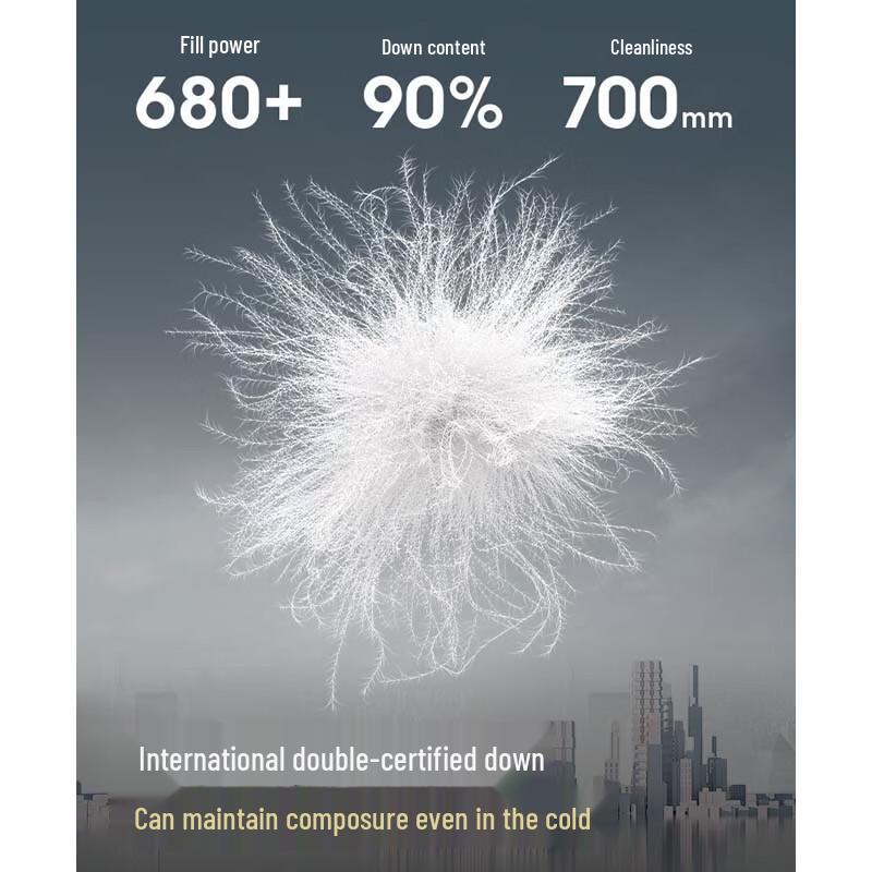 BOSIDENG B250245288 Stylish Stand-Collar Down Jacket