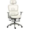 Office Chair, Ergonomic Desk Chair with Mesh Fabric Cover, Adjustable, Rollable, with Armrests, Headrest, Beige