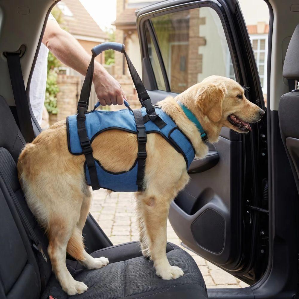 Adjustable Dog Rehabilitation Vest Breathable Pet Support Sling  Senior Dogs