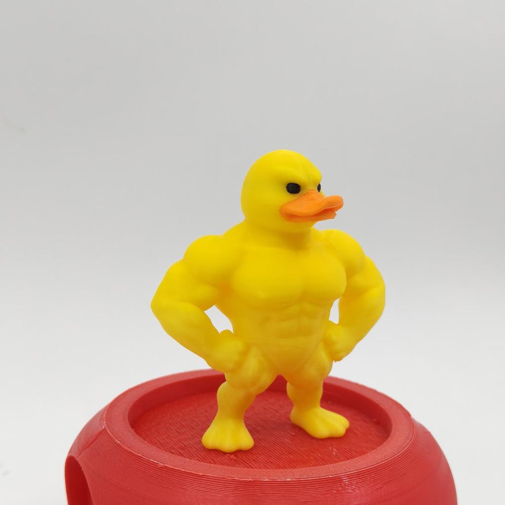 Eco-friendly 3D Printed Parody Muscle Duck Ornament