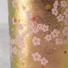 HORIE Titanium Double Wall Tumbler 270ml Pink