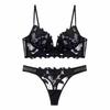 Women Lace Lingerie Set Elegant Sexy Bra Set See Through Underwear Ventilate Ladies Bra and Panty Set
