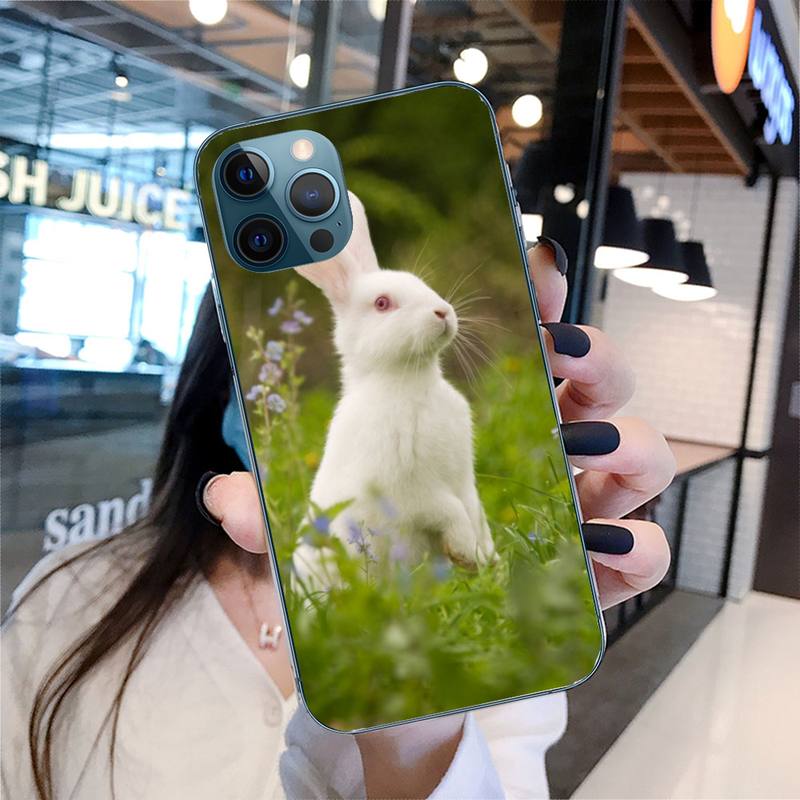 

Милый чехол для телефона с кроликом для iPhone 11 12 13 Pro Max 5s 6s 7 8 Plus X Xr Xs Max Se 2020 13 Mini Чехол-накладка iphone 13 mini