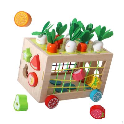Wooden Activity Cube Shape Sorter Blocks Toys Early Developmental Sensory Bin Busy Learners