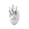 Anatomical Heart Shape Flower Vase Nordic Style Pot Dried Sculpture Desktop Plant for Home Decor Ornament Gifts