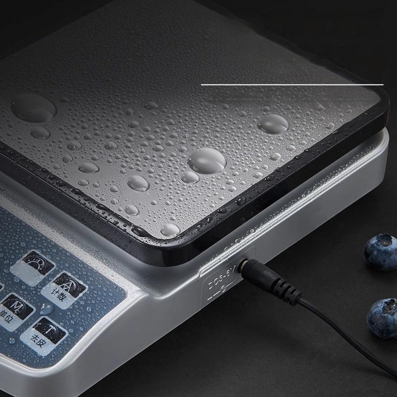 Precision Electronic Scale Stainless Steel Weighing Precision Scale Balance Measurement Digital Kitchen Scale