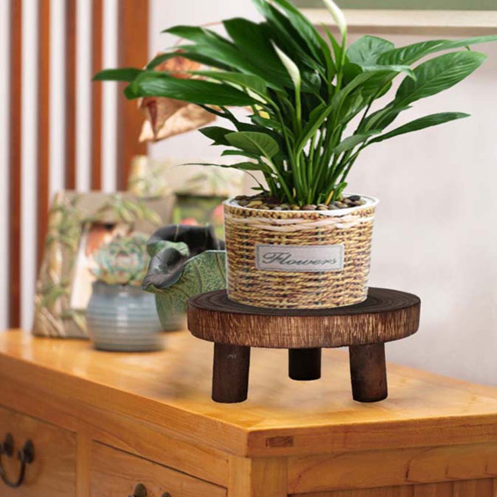 Innen Außen Anzeige Sukkulenten Blumentopf Basis Hocker Holz Pflanzenständer Regal Blumentopf Halter