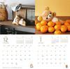 2026 Leva med Rilakkuma Väggkalender (Kalender)