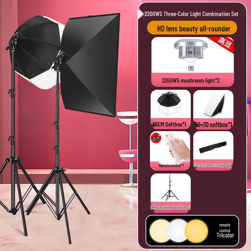 2200WS Super Bright Spherical Fill Light for Live Beauty, Photography, and Indoor Clothing Shoots