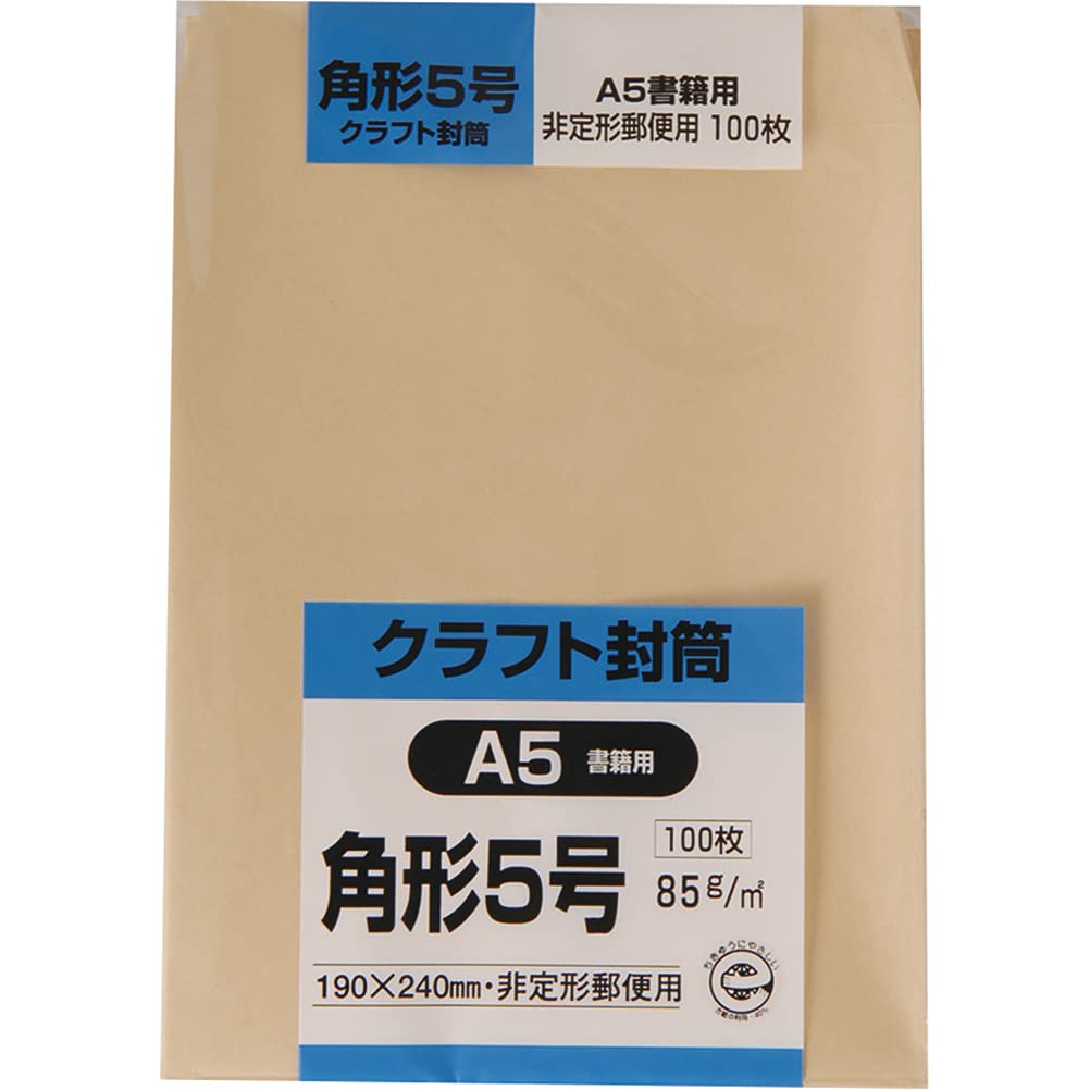 

King Corporation Envelope Craft Square 5 100 Sheets 85g K5K85 No.