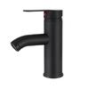 TLXT Stainless Steel Hot & Cold Basin Faucet