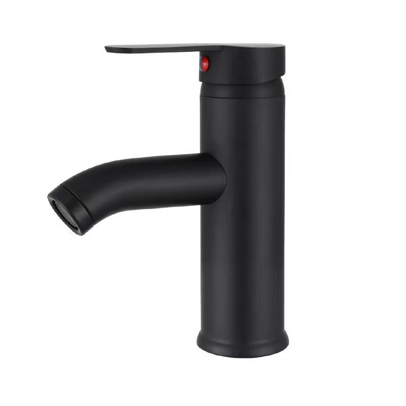 TLXT Stainless Steel Hot & Cold Basin Faucet