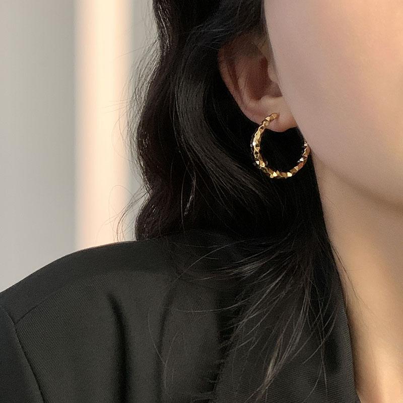 

S Silver Needle Premium Sense Shiny Earrings Minimalist Light Luxury Fashion Earrings Cold Wind Earrings Temperament