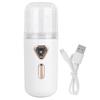 30ml Mini Facial Humidifier Portable Nano Atomization USB Charging Face Mist Sprayer