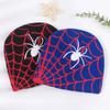 Autumn Winter Hip-hop Spider Web Knit Hat European American Style Unisex Warm Ear Protection Outdoor Wool Cap Black Blue