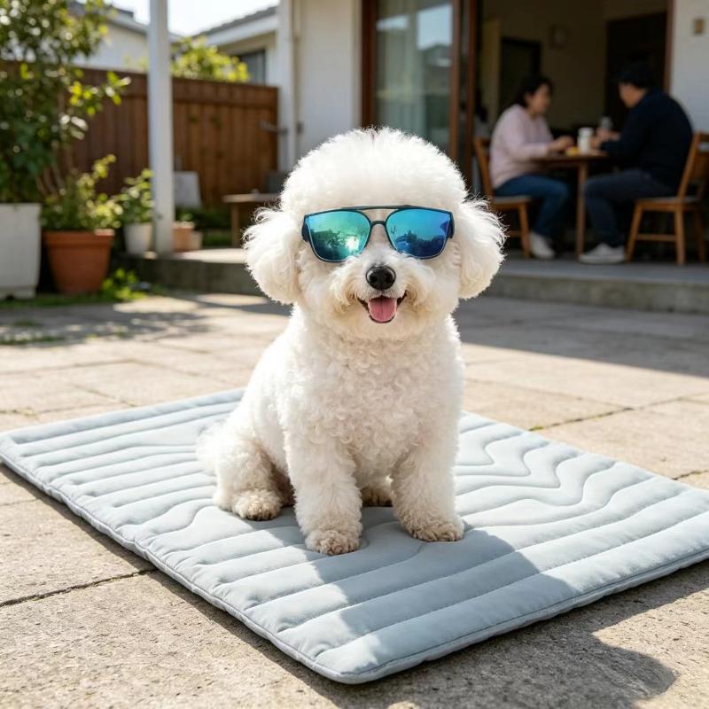 Green Pet Cooling Mat Dog Bed Double Sided Ice Silk Warm Plush 4 Seasons Washable Foldable Portable Mattress For Large Dogs (Blue,S) синий