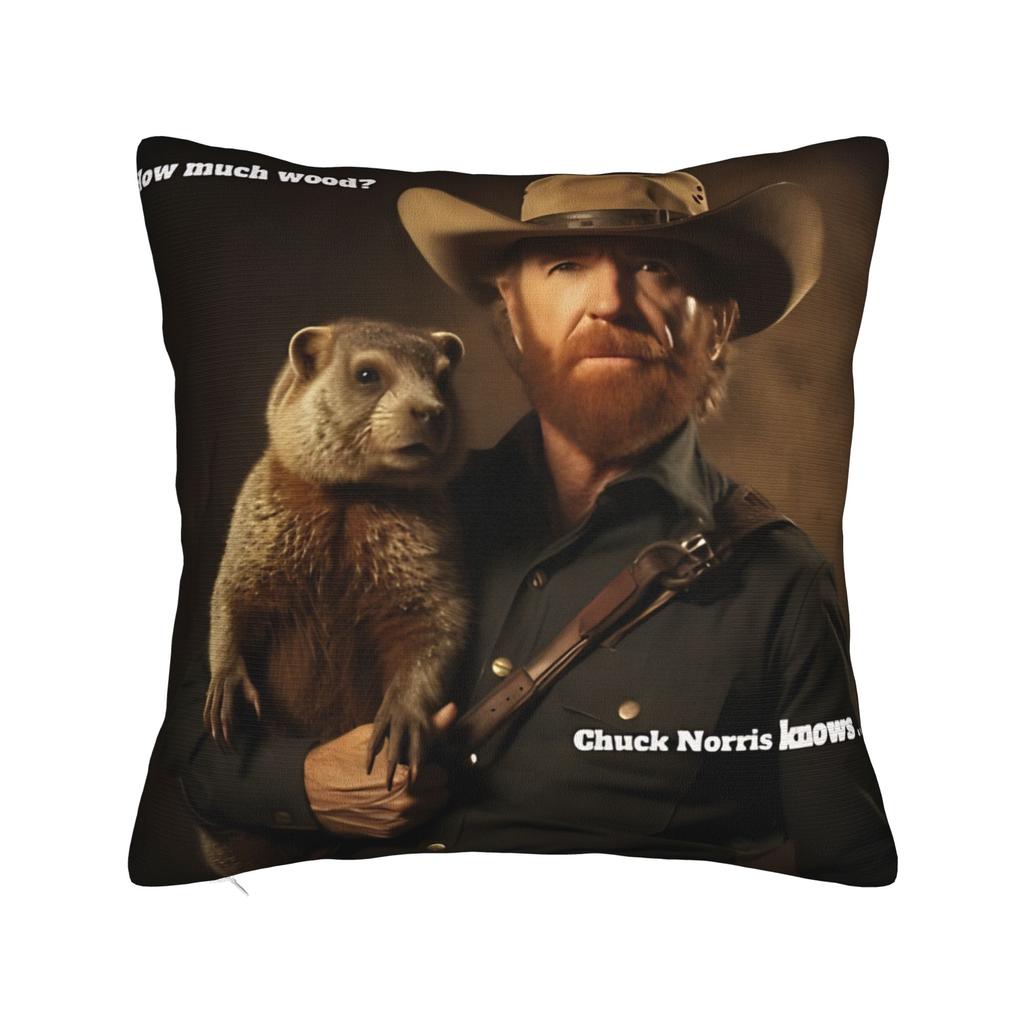 Pillow Case Chuck Norris 1940- Custom Pillow Cover For Sofa Couch Bed Living Room Morden Pillowcases