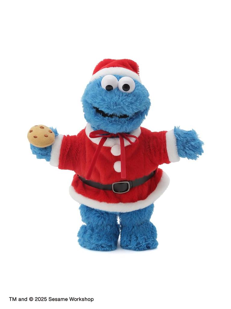 Santa Plüschkostüm (Klein)