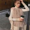 Mao Mao Vest Imitation Fur Vest Women's Short Korean Version Autumn and Winter New Imitation Fox Fur Imitation Tuscan Vest
