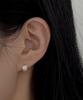 Knosis [925 Silver] Satin Square Earrings