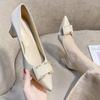 Women's Gentle High Heels Spring 2025 New Design Temperament Thick Heel Pointed Not Tired Feet Single Shoes Women's Summer