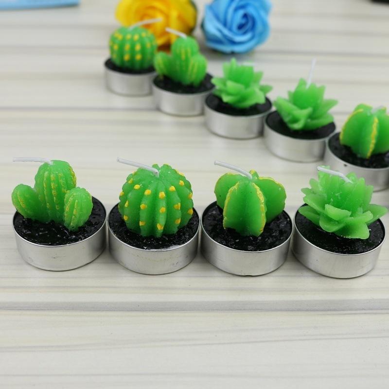 Lovely Fleshy Potted Plants Fruit Scented Candles Creative Home Decor