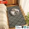 Pet Minimalist Style Small Fresh Entrance Entrance Bathroom Kitchen Floor Mat Floor Mat Non-slip Machine Washable Carpet 2026
