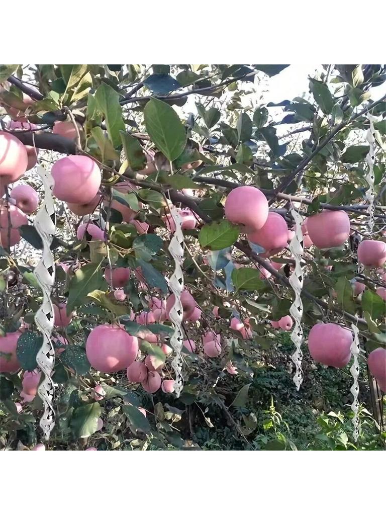 Bird Repellent Reflective Rods 30cm Scare Birds Repeller Wind Spiral Rotating Rod Hanging Ornaments Home Garden Decor