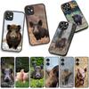 Phone Cover Pig Animal Wild Boar Casing for Apple iPhone 17 16 11 Pro XS Max XR 6 7 8 Plus + 16E SE 2020 Air 5 8+ Case