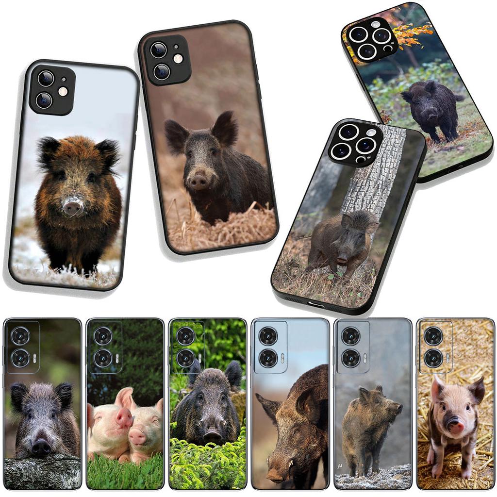 Phone Cover Pig Animal Wild Boar Casing for Apple iPhone 17 16 11 Pro XS Max XR 6 7 8 Plus + 16E SE 2020 Air 5 8+ Case
