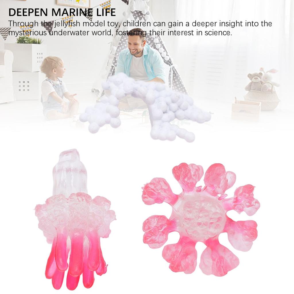 4 Pcs Jellyfish Growth Cycle Figurine Educational Play Simulated Jellyfish Model Toy Realistic Ocean