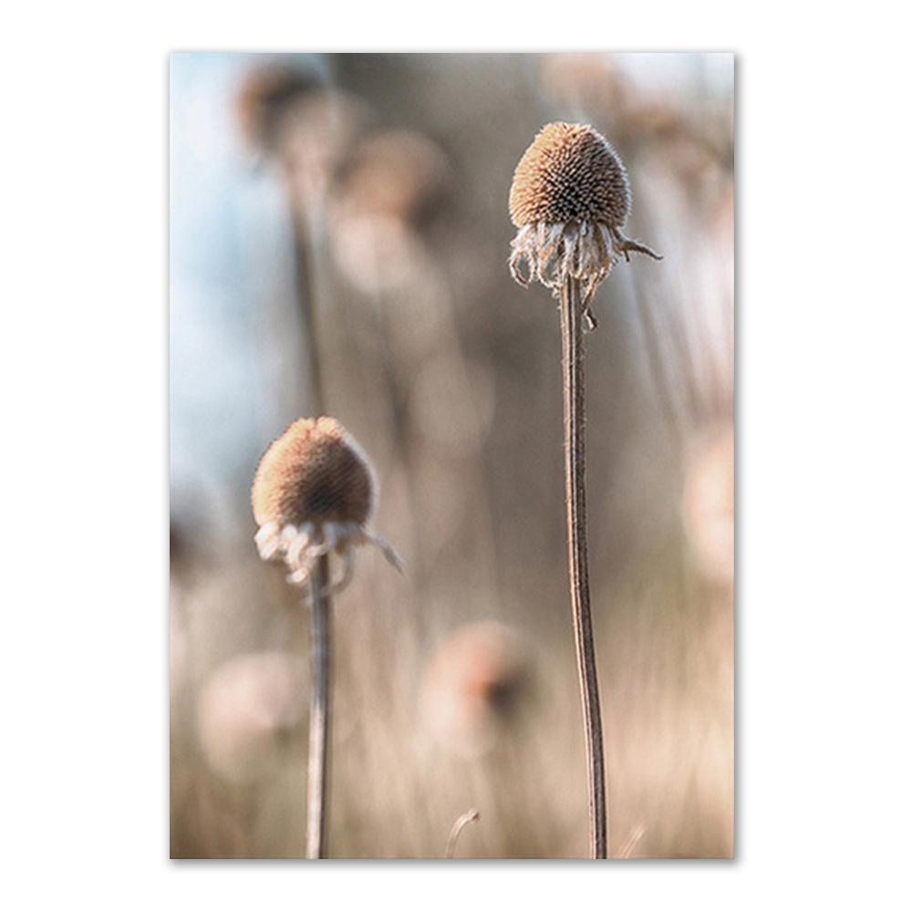 Beige Natural Wall Art Canvas Poster Print Reed Dandelion Grass Cow Canvas Painting Wall Pictures for Living Room Decorative Art