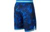 Nike Sports Shorts Men's Blue Moderate DJ4035-405