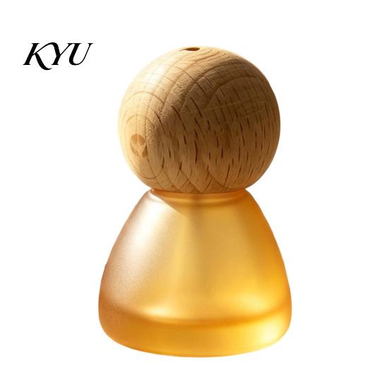 Small Glass Bottles for Oils Reed Diffuser Bottle with Stick, Fragrance Empty Bottle, Desktop Aromatherapy Vase Essential Oil Home Bedroom Office