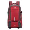 Outdoor Large Capacity Hiking Backpack Sports Travel Bag Lightweight Schoolbag