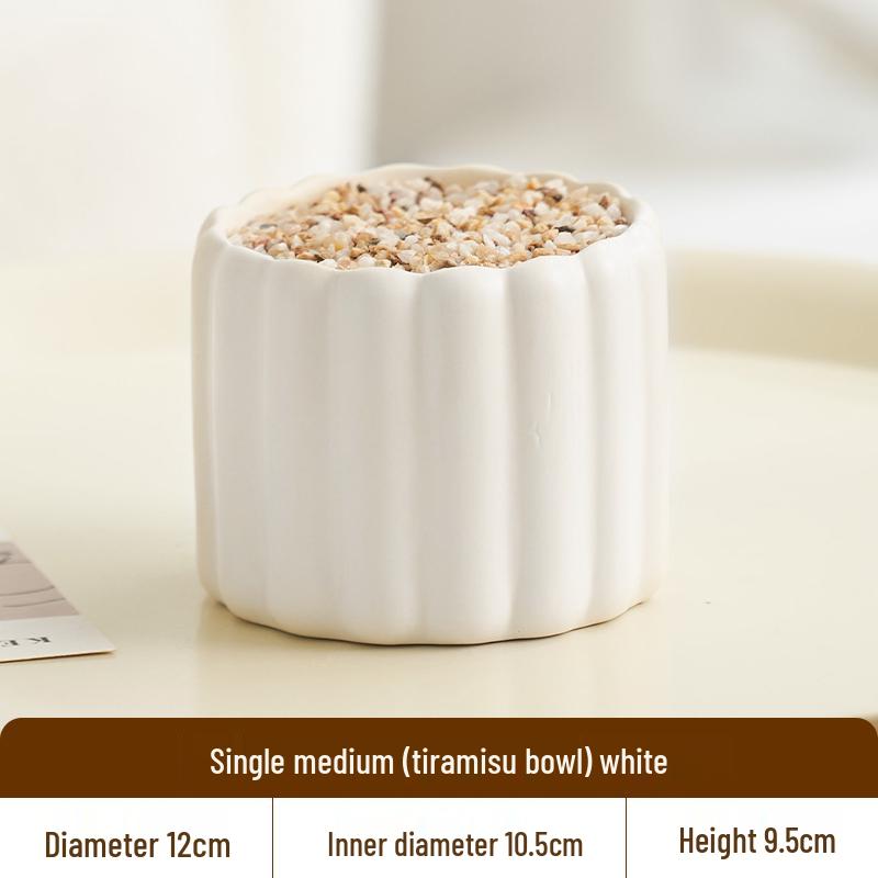 Nordic Style Cream Ceramic Succulent Pot for Phalaenopsis and Green Plants