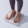 Bear E3 Smart Body Fat Scale (CN version)