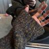 Niche Moss Green Knit V-neck Sweater - Autumn/Winter Loose Fit, Granular Texture.