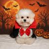 Stand-collar Halloween Pet Costume Lace Small Dog Cape Creative Kitten Dress  Cat
