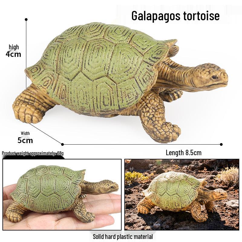 Children's Cognitive Marine Animal Models: Sea Turtle and Tortoise Toys