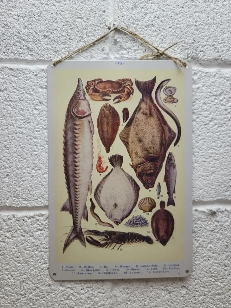 Fish Poster Metal Sign Wall Decor