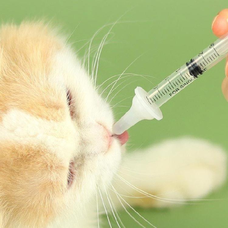 11Pcs Pet Nursing Kits Nipple Syringes Feeder Milk Feeding Bottles for Newborn